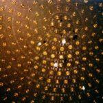 The Incredible Shrinking Neutrino.