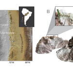 The Lipidome of a Mars Analog Poly-Extreme Community in Atacama Halite Endolith: Chemotaxonomy, Lipid Adaptation, and Implications for the Search for Extraplanetary Biosignatures