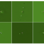 The POKEMON Speckle Survey of Nearby M dwarfs. IV. Distance-Limited Catalog (POKEMON-DLC)
