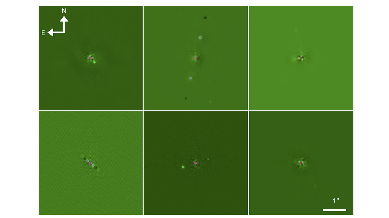 The POKEMON Speckle Survey of Nearby M dwarfs. IV. Distance-Limited Catalog (POKEMON-DLC)