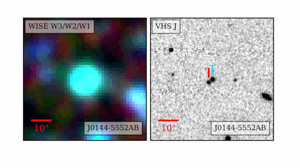 Three Thousand Motion-Confirmed L and T Dwarf Candidates From The Backyard Worlds: Planet 9 Citizen Science Project