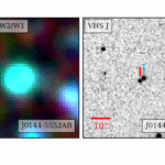Three Thousand Motion-Confirmed L and T Dwarf Candidates From The Backyard Worlds: Planet 9 Citizen Science Project