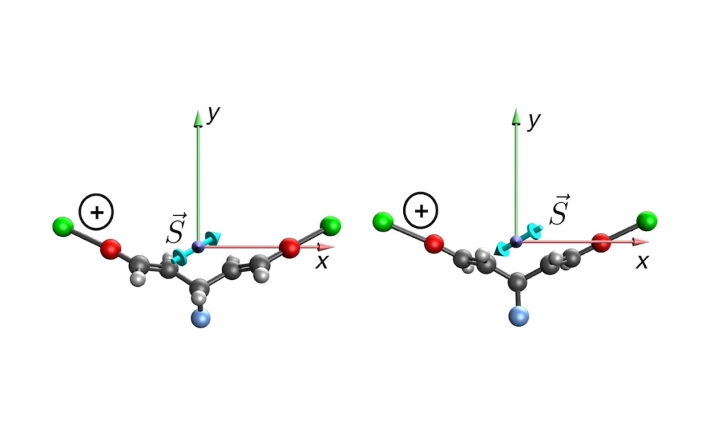 Understanding Life And Homochirality