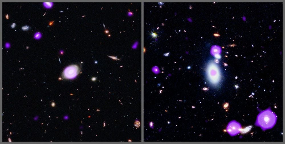 Why Are Supermassive Black Holes Growing So Slowly?
