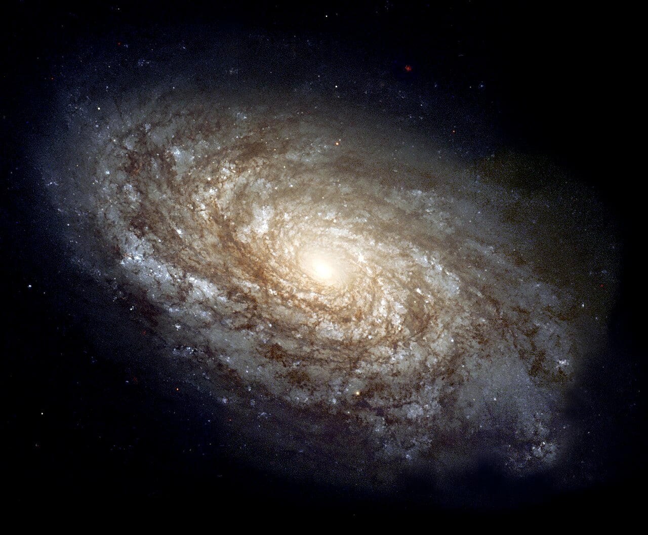 20,000 Eyes on the Universe
