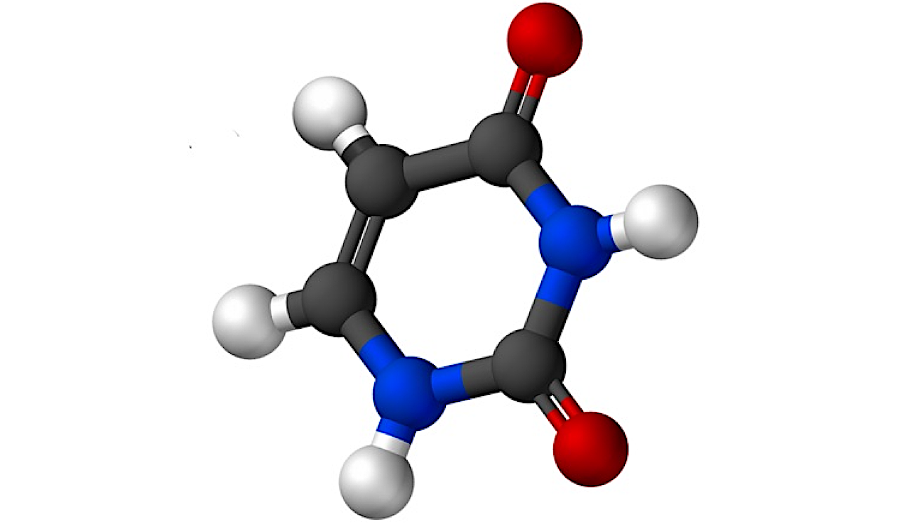 A Clue For The Hen And Egg Question: The Simultaneous Formation Of Uracil And Amino Acids Under Simulated Hadean Conditions