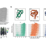 Artificial Intelligence Aided Design Of Peptides With Custom Secondary Structure Motifs And Reduced Amino Acid Alphabets