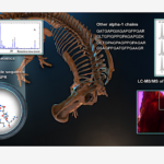 Biosignatures: Evidence for Endogenous Collagen in Edmontosaurus Fossil BoneAnalytical Chemistry via PubMed