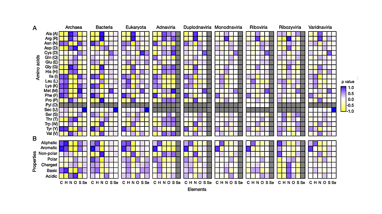 Deep-time Consistency In Proteome Elemental Composition Across Cellular And Viral Life