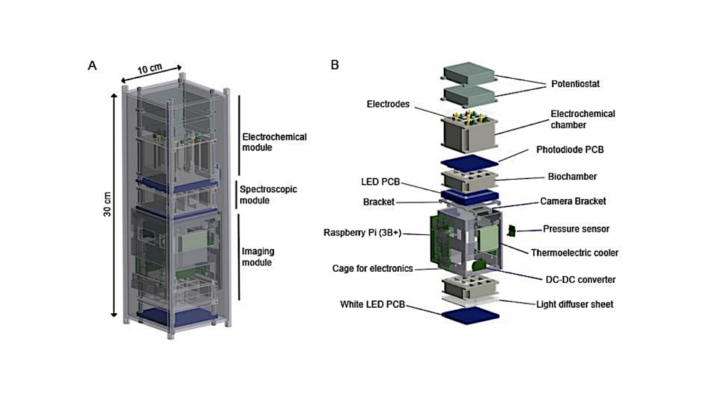 Development and Demonstration of a Modular Astrobiological Experiments (MAEx) Payload for Autonomous Biological Monitoring in Low Earth Orbit (LEO)
