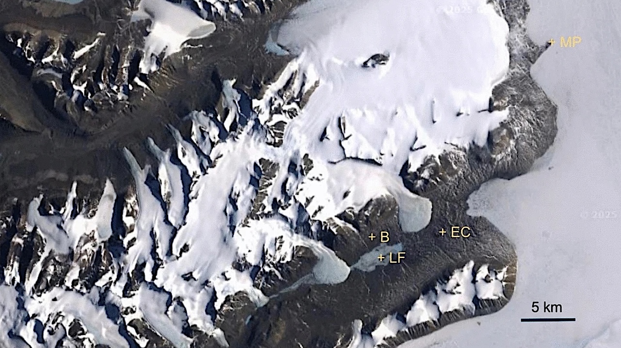 Dew And Frost Do Not Serve As Water Sources For Rock-dwelling Organisms In The Dry Valleys Of Antarctica
