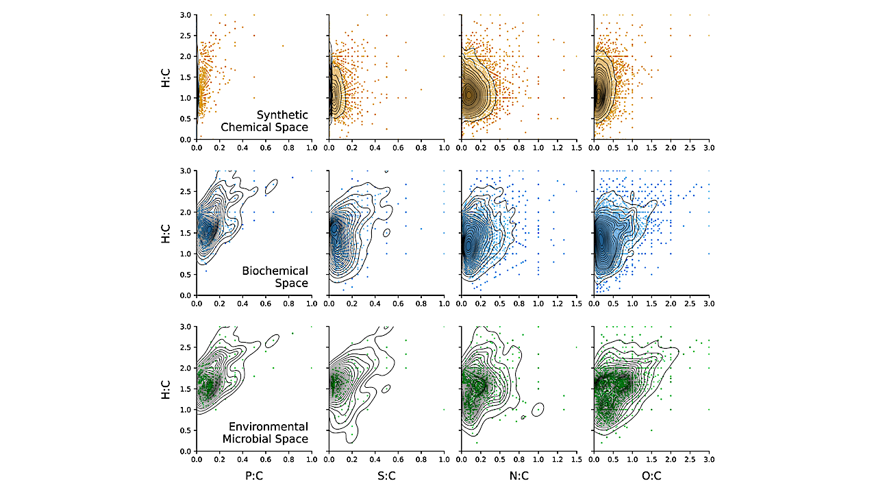 Elemental Stoichiometry As An Ecological Biosignature With Applications To Life Detection