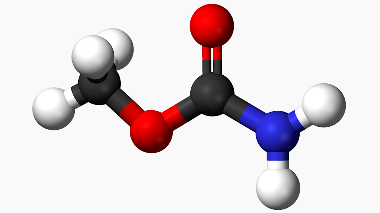 First Interstellar Detection of Methyl Carbamate: A New Observational Anchor for Glycine Chemistry