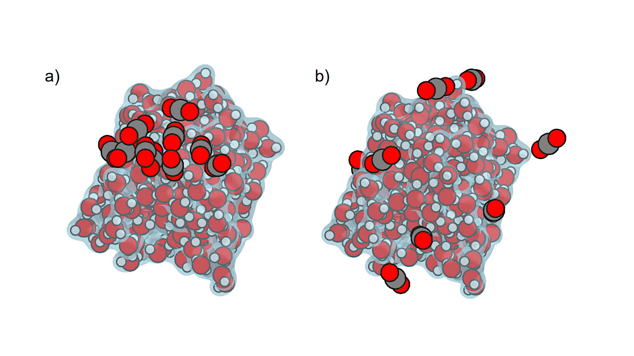 Fizzy Water Ice In Space: CO2 Adsorption, Binding Energies And Its Fate In A Protoplanetary Disk