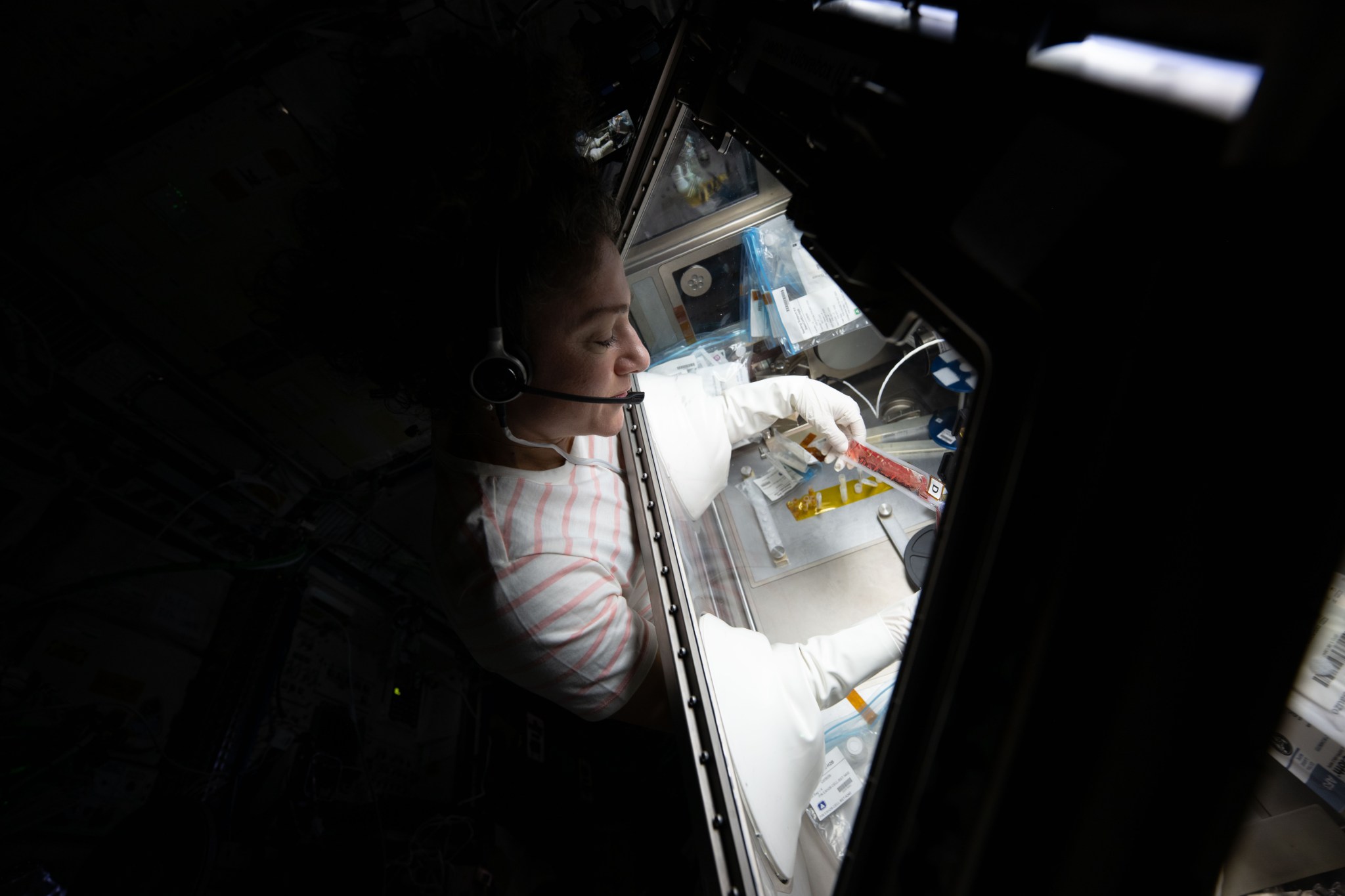 Growing Stem Cells in Space to Improve Cancer and Disease Treatments