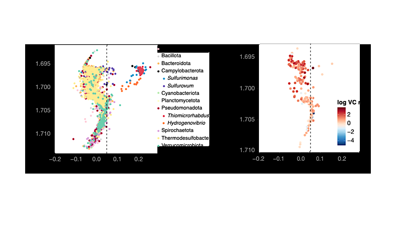 Hidden Viruses Reshape One Of Earth’s Largest Carbon Systems