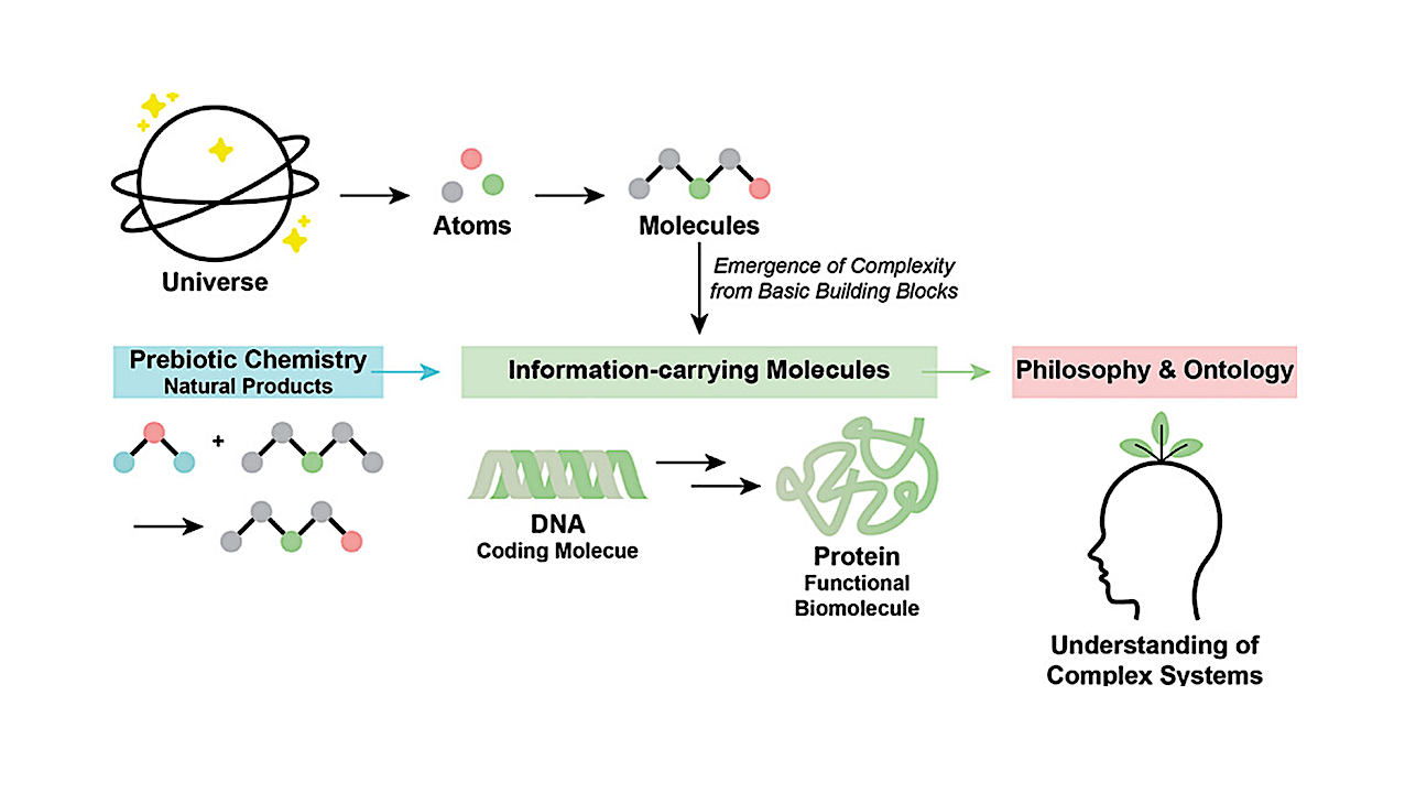 How Life Could Arise From Molecules