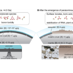 How The Rise Of Continents May Have Set The Stage For Life On Earth