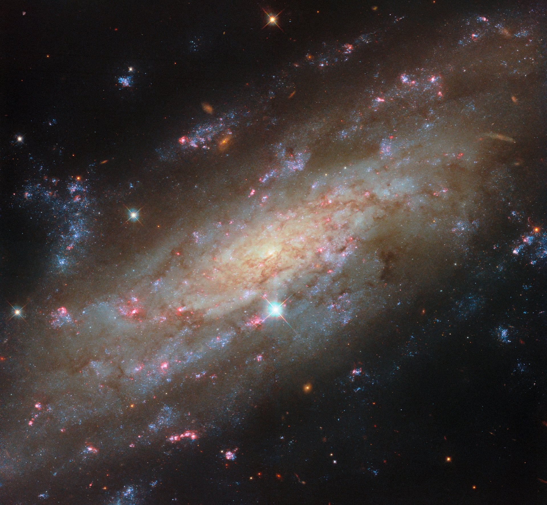 Hubble Capture a Starry Spiral Cosmic Neighbor