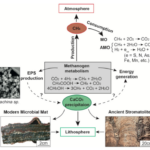 Methanogens Through Time and Space: Impact on Earth’s Planetary Evolution and Biogeochemistry