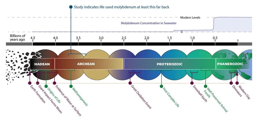 Molybdenum Was Scarce, But Early Life Chose It Anyway