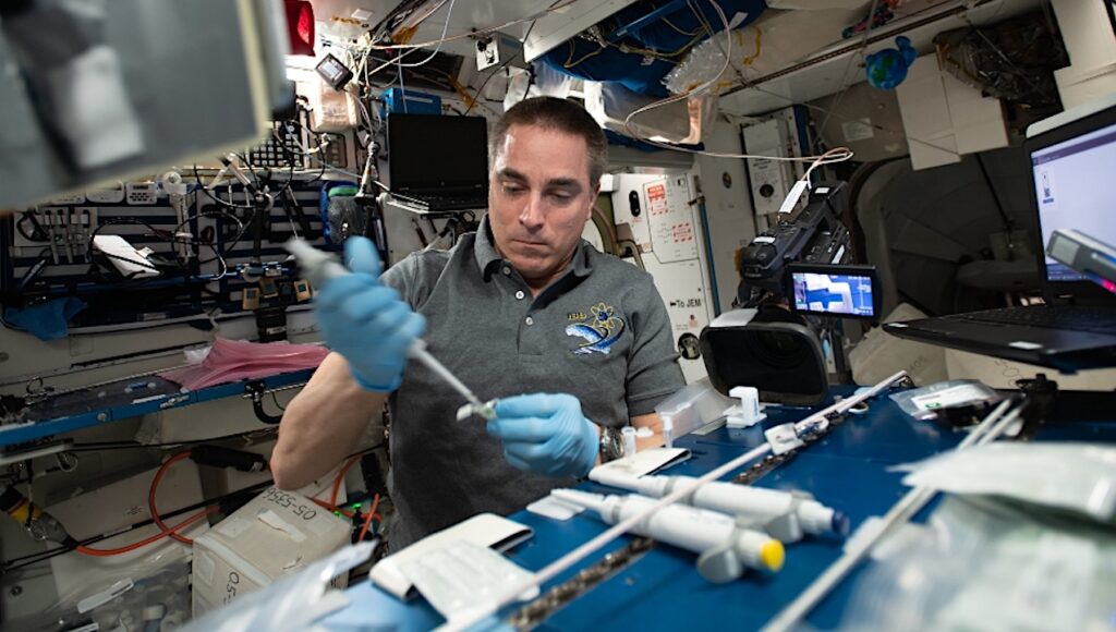 NASA Spaceline Current Awareness List #1,198 1 May 2026 (Space Life Science Research Results)