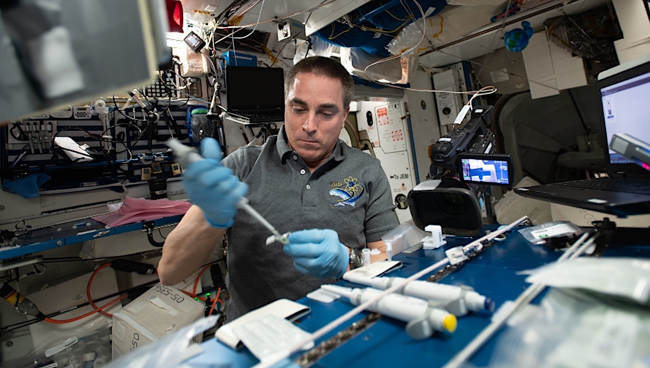NASA Spaceline Current Awareness List #1,198 1 May 2026 (Space Life Science Research Results)