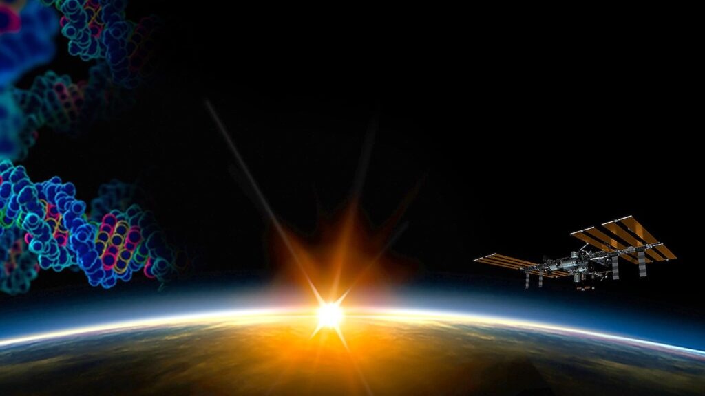 NASA Spaceline Current Awareness List #1,201 22 May 2026 (Space Life Science Research Results)