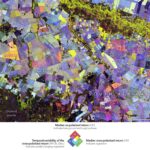 Painting the Growing Season in the Maize Triangle