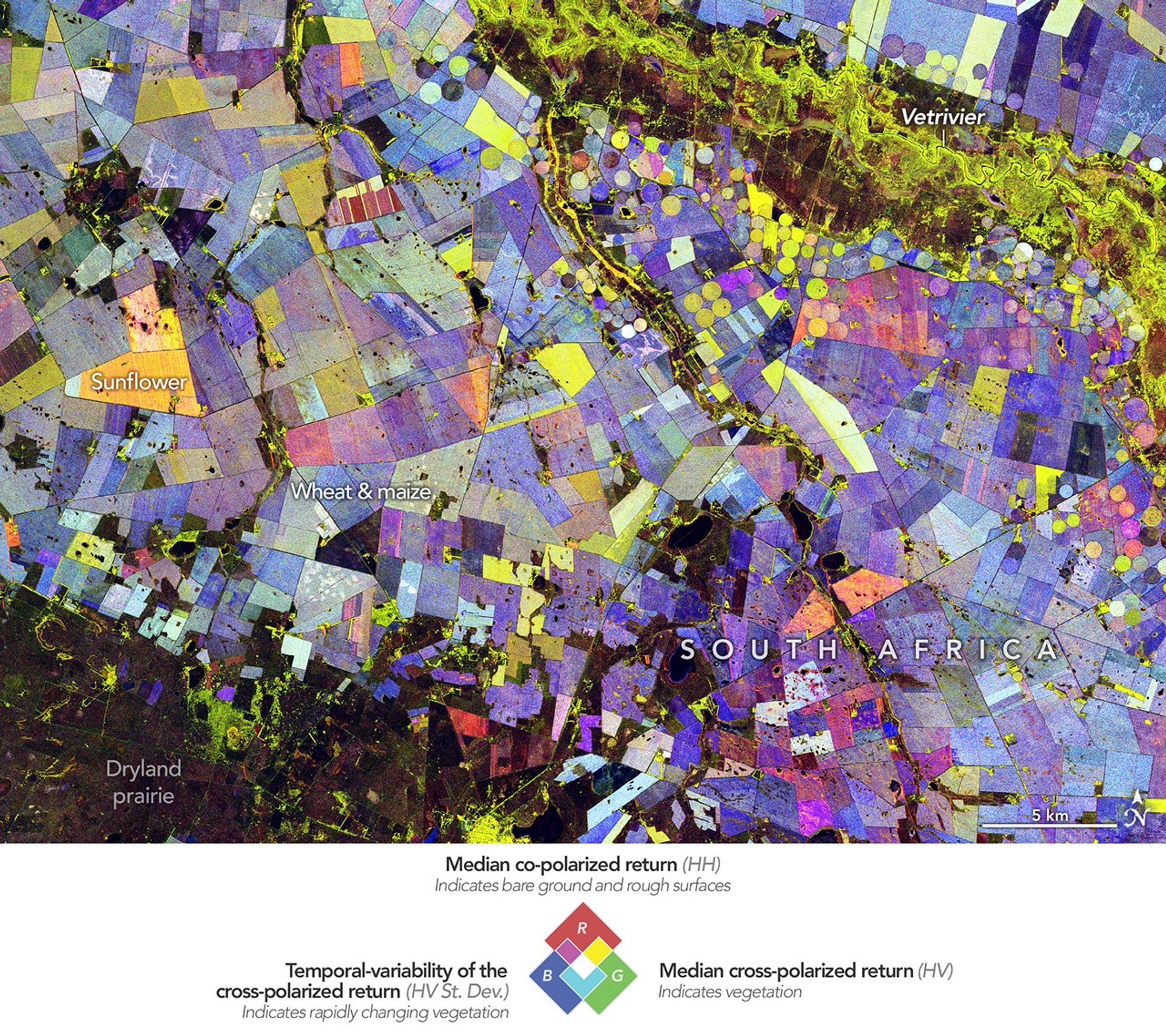 Painting the Growing Season in the Maize Triangle