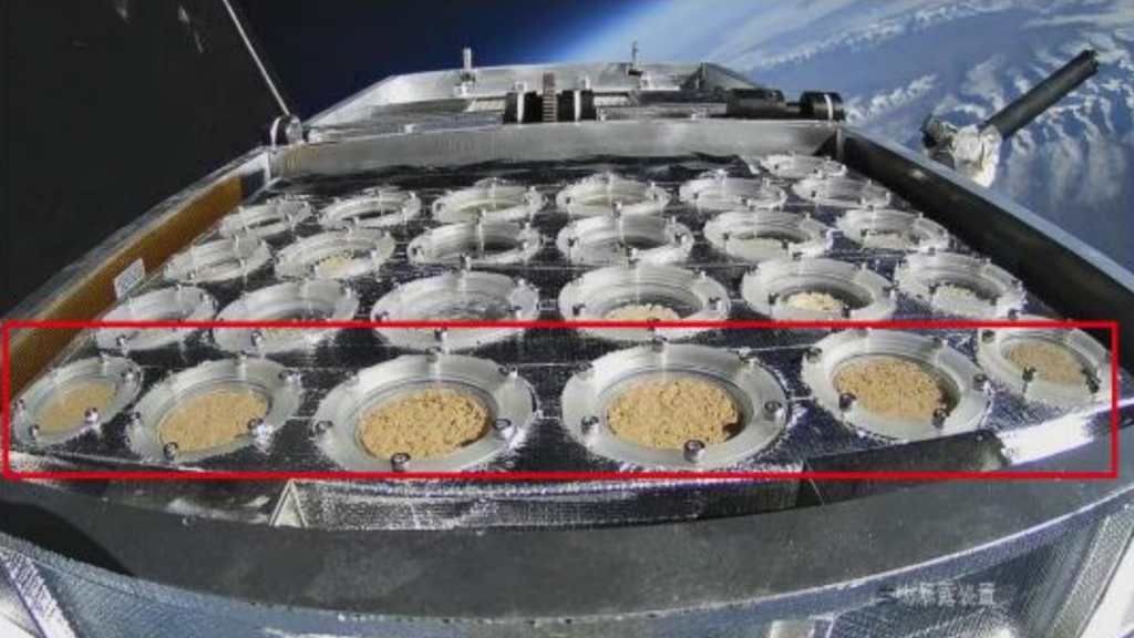 Responses of Cyanobacterial Crusts and Microbial Communities to Extreme Environments of the Stratosphere