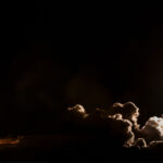 SpaceX successfully launches Falcon 9 carrying 46 payloads including Earth-observation satellite CAS500-2