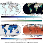 Synergistic Effects of Ocean Salinity and Planetary Obliquity Enhance Habitability of Cold Exo-Earths