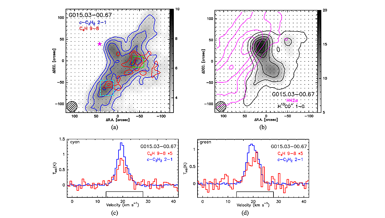 The Evolution Of C4H And c-C3H2 In Molecular Cores