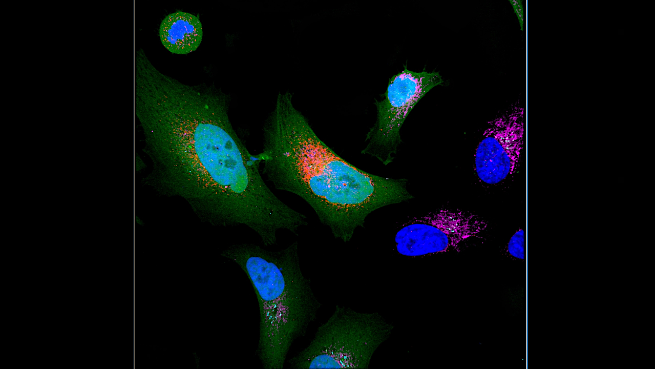 Thousands Of Previously Unknown Proteins Discovered