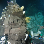 Water Planet Recon: Earth’s Largest Mission To Accelerate Species Discovery Reveals Extraordinary New Life Forms From Some Of Earth’s Most Extreme And Unexplored Environments