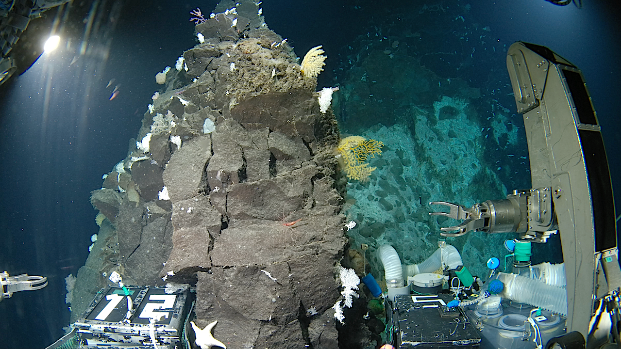 Water Planet Recon: Earth’s Largest Mission To Accelerate Species Discovery Reveals Extraordinary New Life Forms From Some Of Earth’s Most Extreme And Unexplored Environments