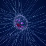 Water World Genomics: Unlocking Ocean Secrets With eDNA