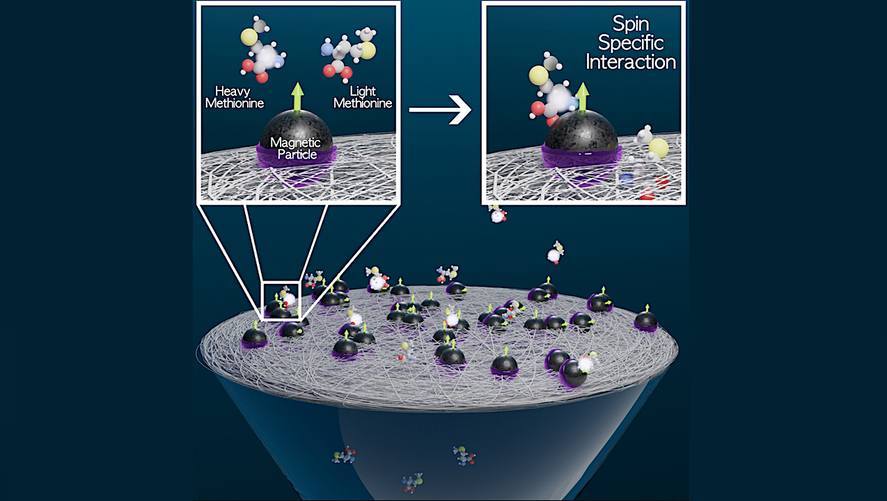 What If The Direction Of A Magnet Could Shape The Building Blocks Of Life?