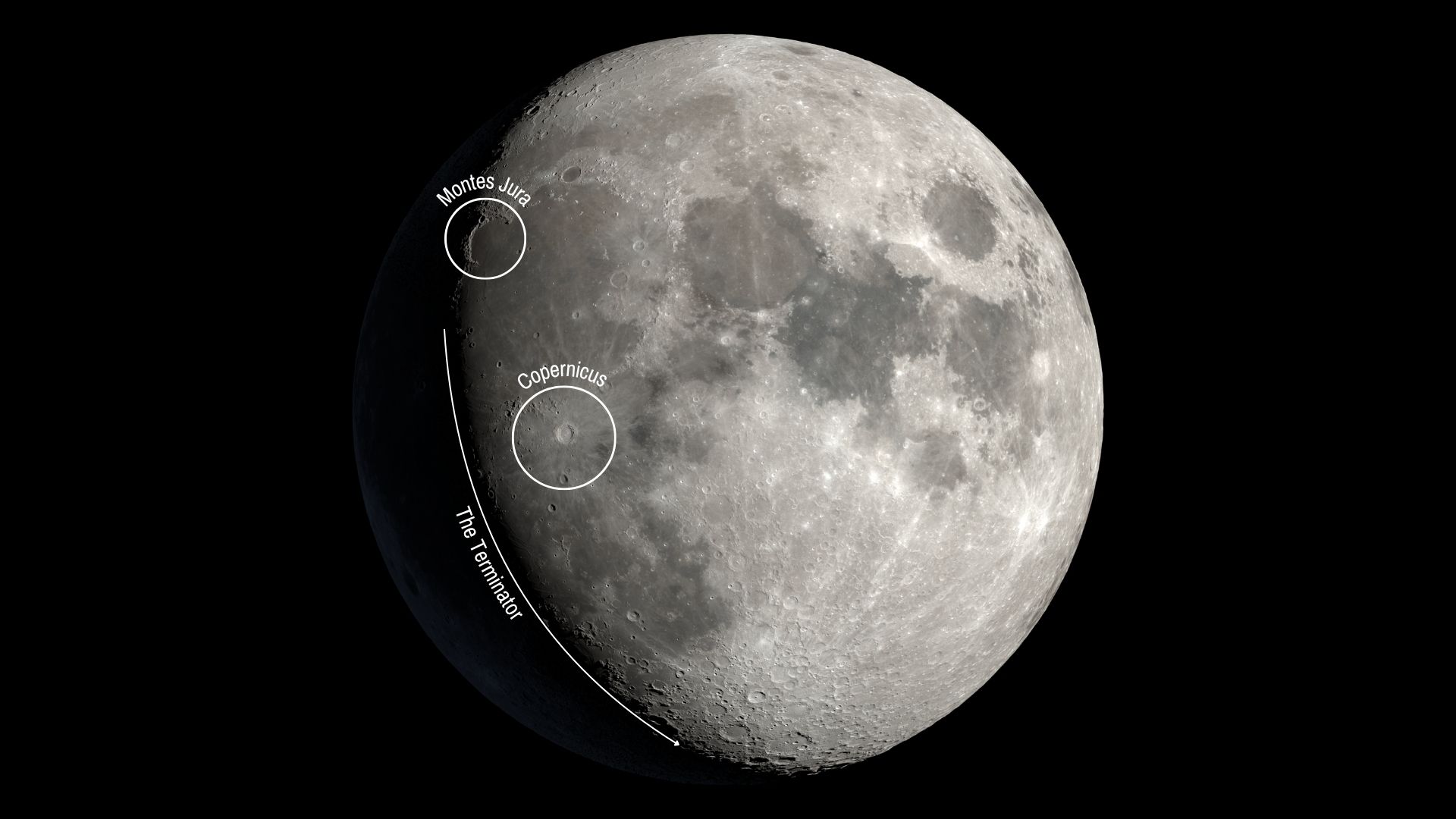 What is the blue-white star next to the moon tonight?